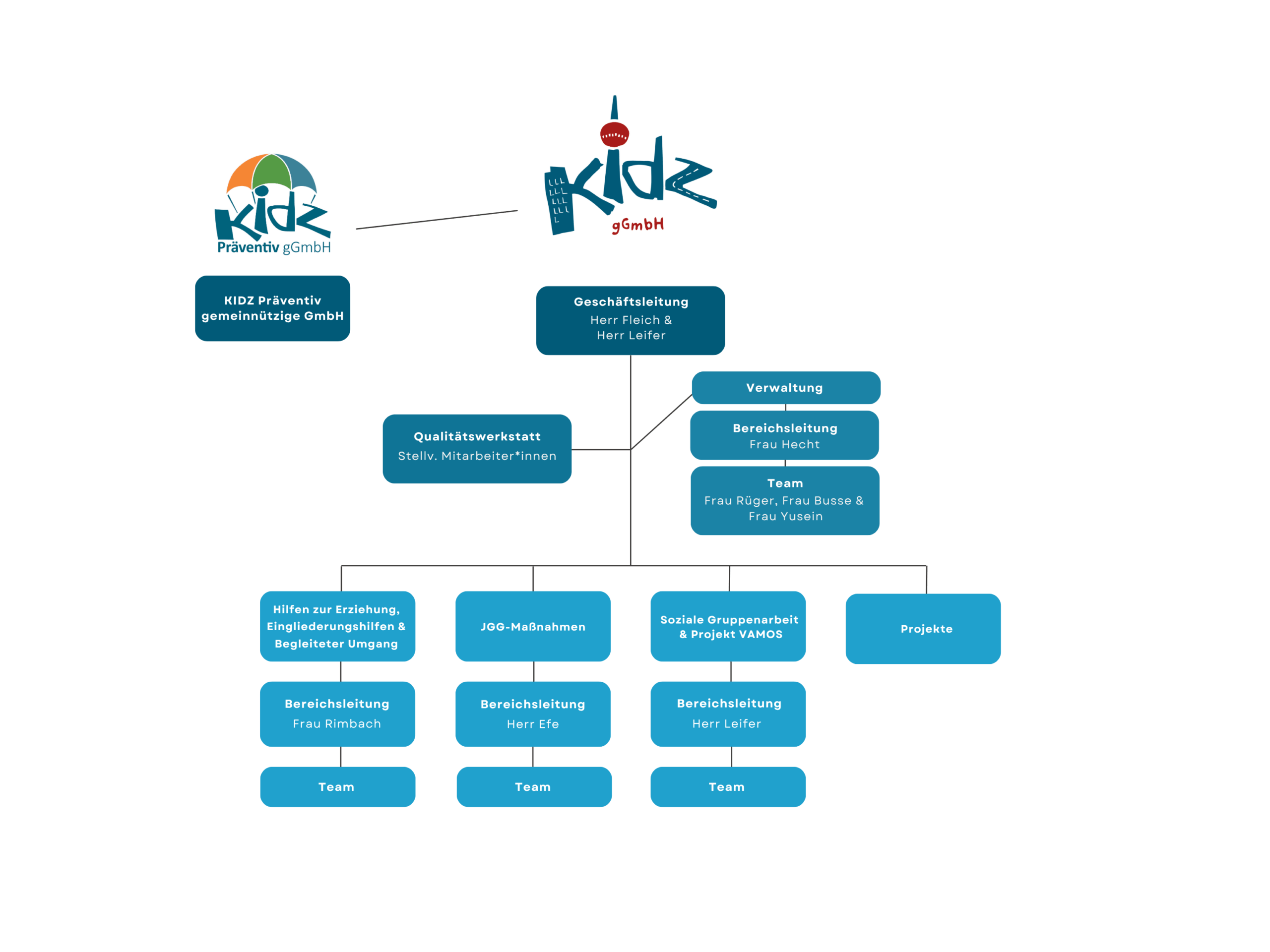 Organigramm KIDZ gGmbH