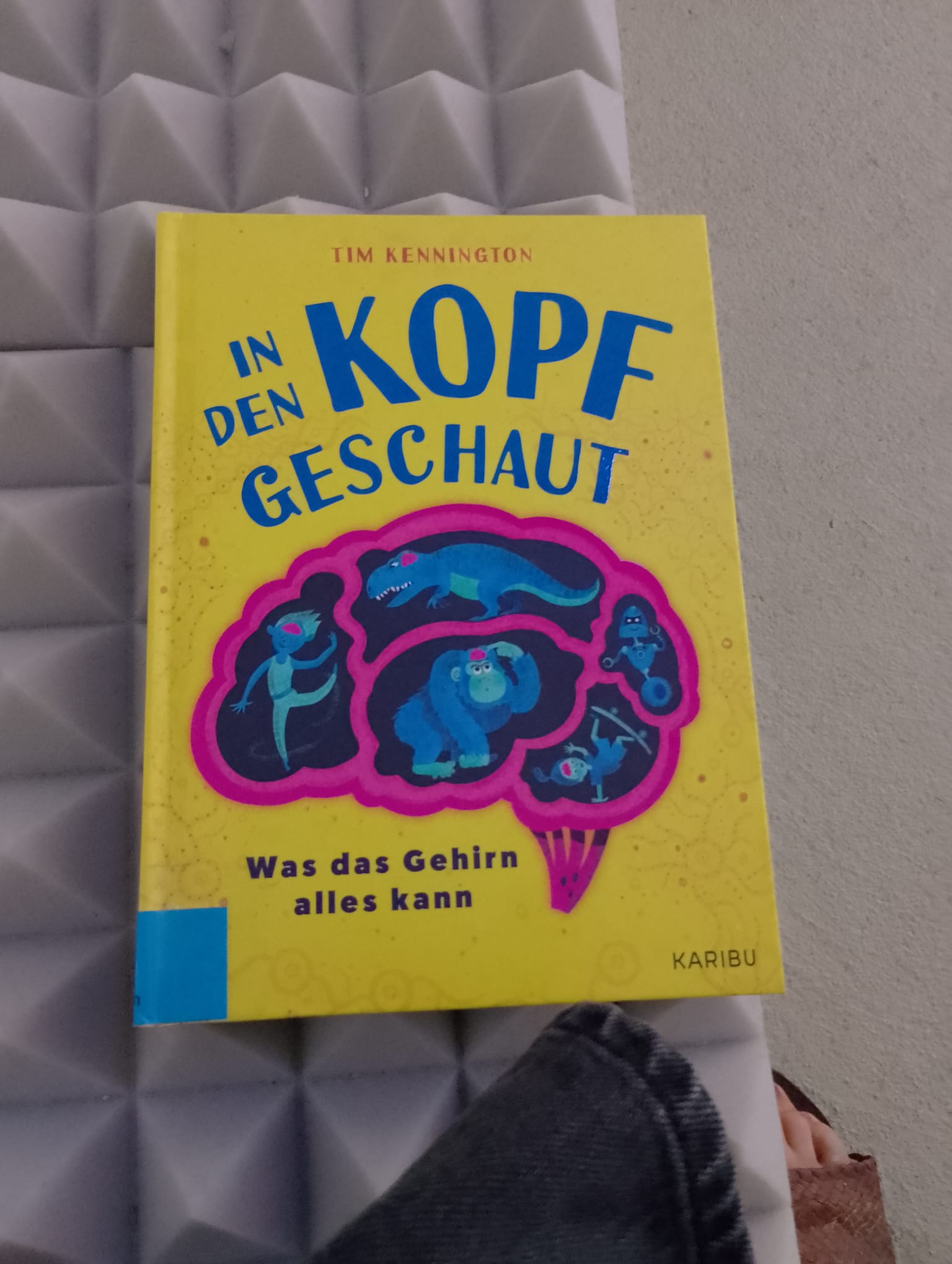 PLAY/BRAIN Berlin Buch